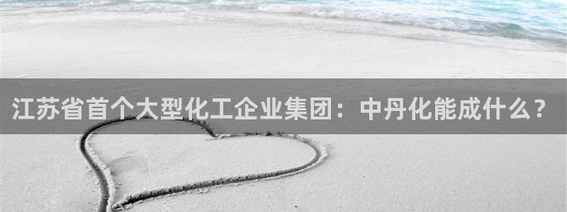 球盟会在线登录官网：江苏省首个大型化工企业集团：中丹化能成什