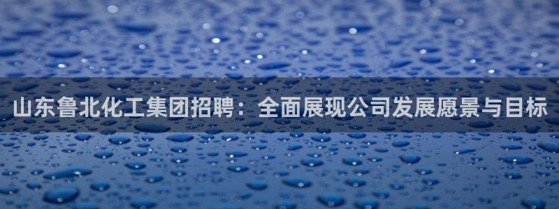 球盟会贴吧：山东鲁北化工集团招聘：全面展现公司发展愿景与目标