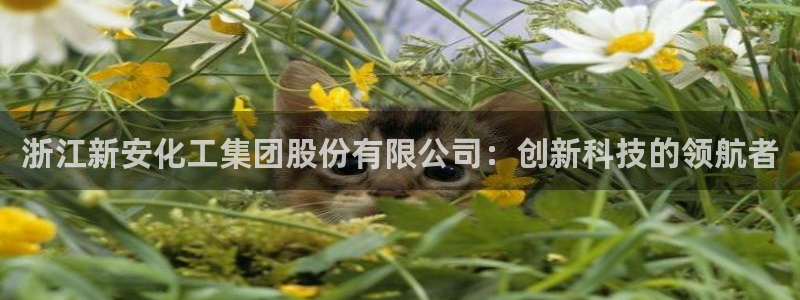 球盟会黑款吗是真的吗：浙江新安化工集团股份有限公司：创新科技