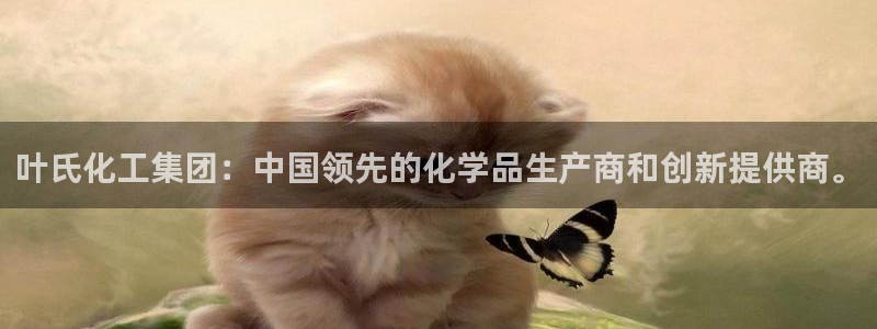 球盟会官网：叶氏化工集团：中国领先的化学品生产商和创新提供商