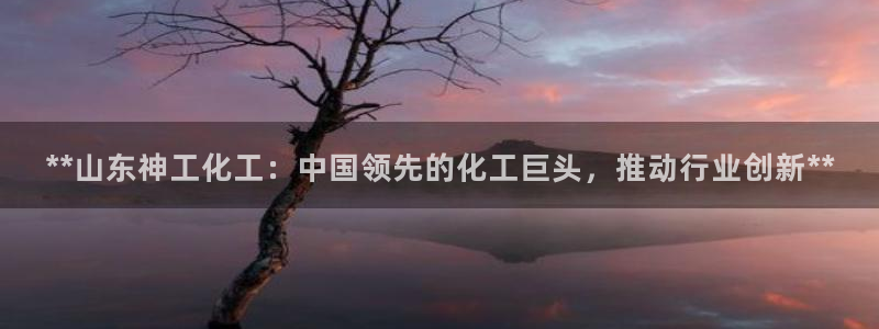 球盟会下载最新版：**山东神工化工：中国领先的化工巨头，推动