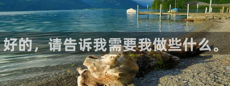 球盟会进不去：好的，请告诉我需要我做些什么。