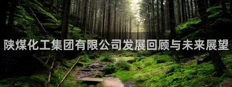 球盟会福利码2023最简单三个步骤：陕煤化工集团有限公司发展