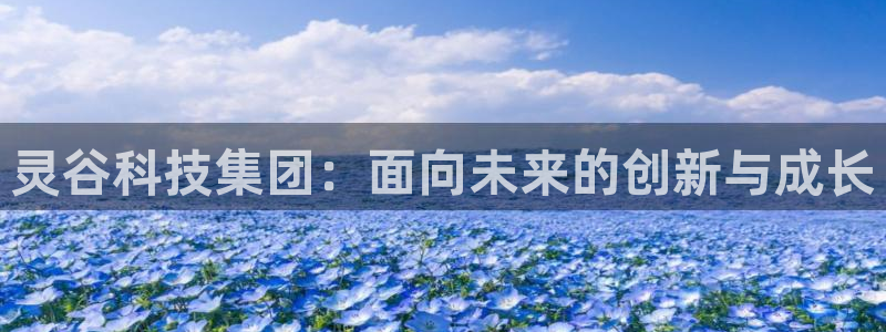 球盟会有没有黑单的：灵谷科技集团：面向未来的创新与成长