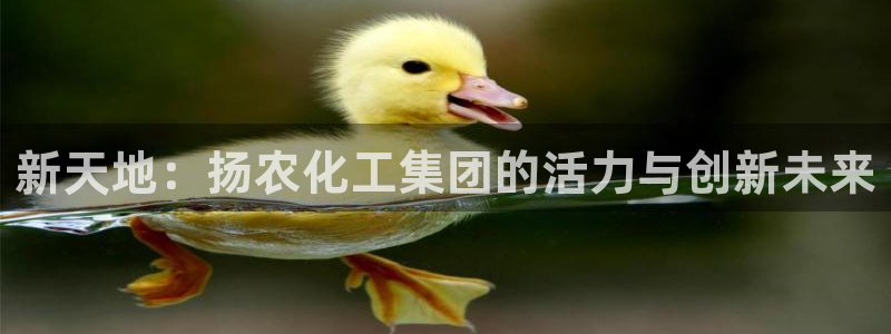 球盟会有没有黑单的活动：新天地：扬农化工集团的活力与创新未来