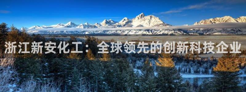 球盟会黑款吗知乎：浙江新安化工：全球领先的创新科技企业