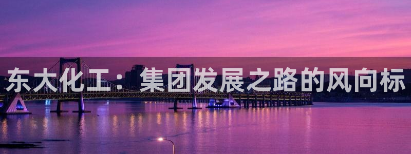 球盟会官方网站：东大化工：集团发展之路的风向标