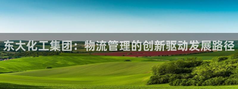 球盟会登陆入口：东大化工集团：物流管理的创新驱动发展路径