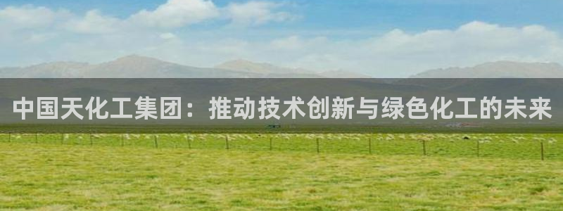 球盟会进不去球员吗：中国天化工集团：推动技术创新与绿色化工的