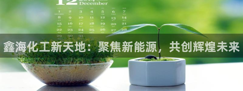 球盟会在线登入：鑫海化工新天地：聚焦新能源，共创辉煌未来