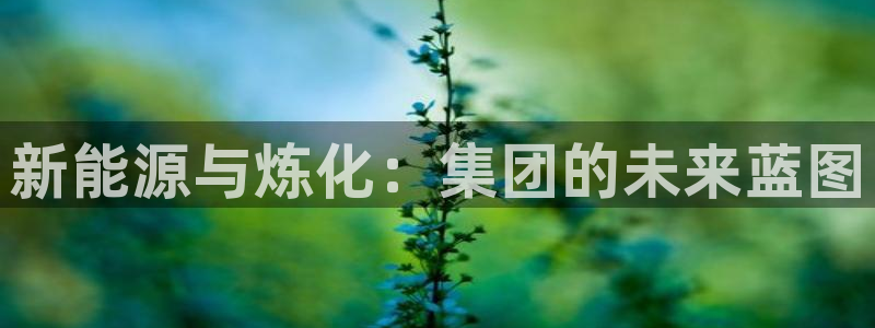 球盟会有没有黑单的球员：新能源与炼化：集团的未来蓝图