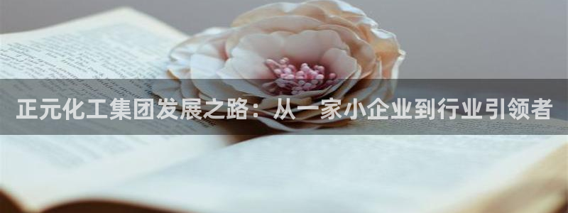 球盟会网页登录入口：正元化工集团发展之路：从一家小企业到行业