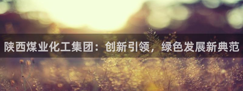 球盟会能提现吗是真的吗：陕西煤业化工集团：创新引领，绿色发展