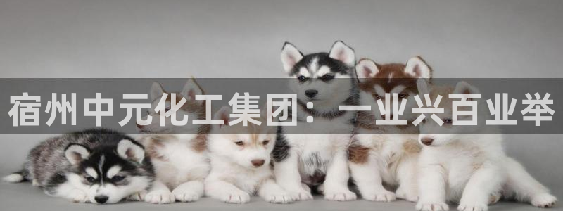 球盟会里面有打牌的嘛知乎：宿州中元化工集团：一业兴百业举