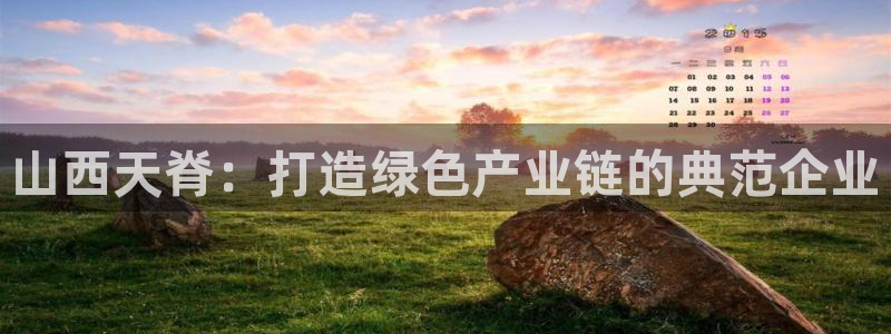 球盟会黑平台：山西天脊：打造绿色产业链的典范企业