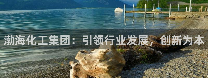 球盟会登录网址：渤海化工集团：引领行业发展，创新为本