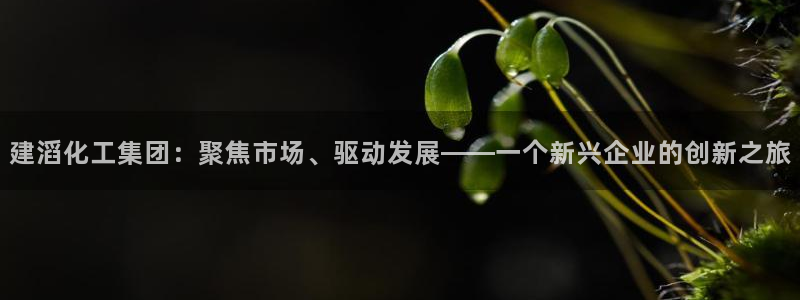 球盟会游戏几点玩合适：建滔化工集团：聚焦市场、驱动发展——一