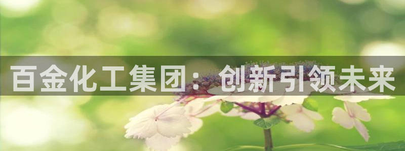 球盟会登录入口：百金化工集团：创新引领未来