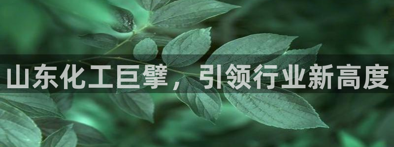 球盟会app最新地址在哪里：山东化工巨擘，引领行业新高度