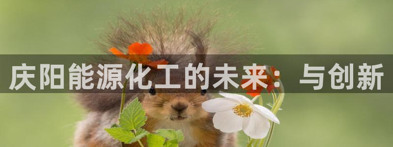 球盟会连接：庆阳能源化工的未来：与创新