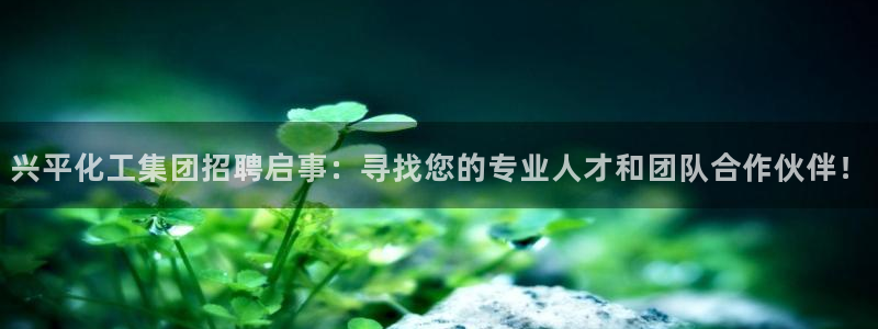 球盟会qmh网页版登录 - qm球盟会官方网站