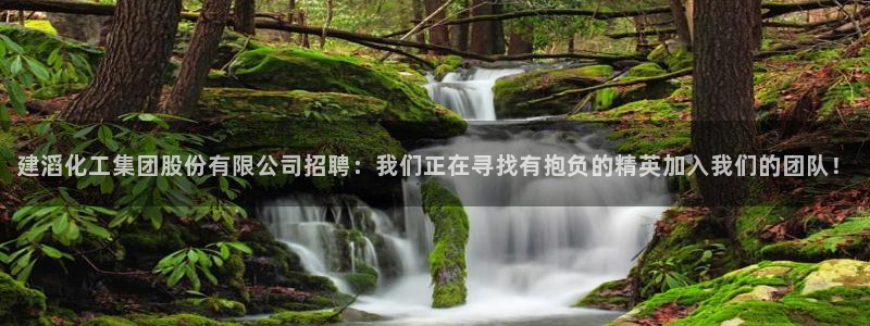 球盟会黑款吗知乎文章：建滔化工集团股份有限公司招聘：我们正在