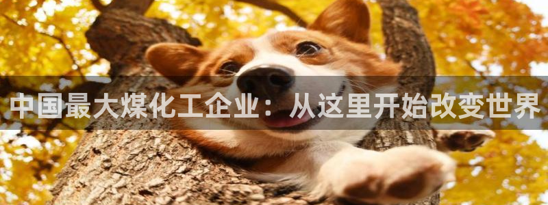 球盟会qmh电子网页版登录：中国最大煤化工企业：从这里开始改