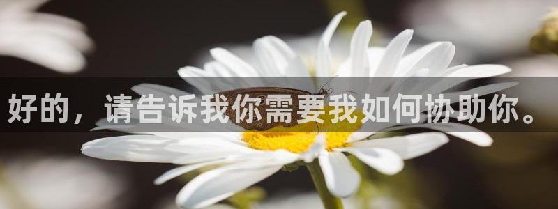 球盟会APP最新地址：好的，请告诉我你需要我如何协助你。
