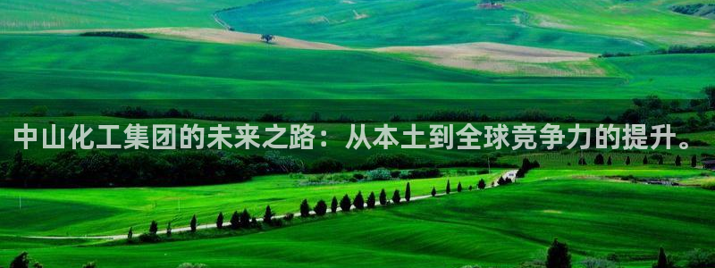 球盟会唯一：中山化工集团的未来之路：从本土到全球竞争力的提升