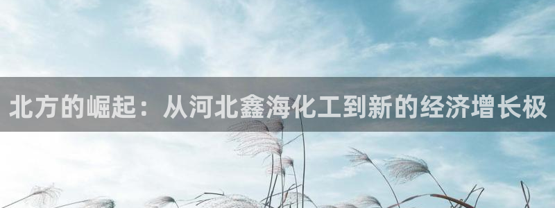 球盟会网页版登陆：北方的崛起：从河北鑫海化工到新的经济增长极