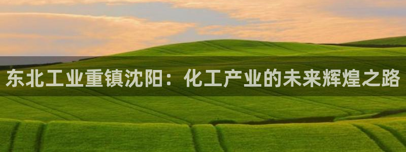 球盟会app网址多少号：东北工业重镇沈阳：化工产业的未来辉煌