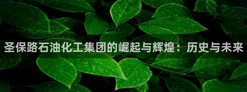 球盟会官网网页版：圣保路石油化工集团的崛起与辉煌：历史与未来