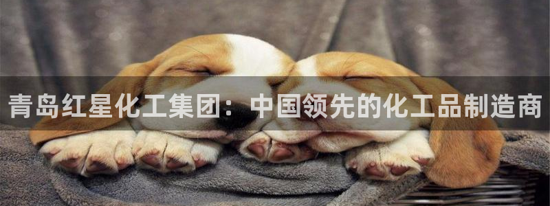 球盟会中国官方网站：青岛红星化工集团：中国领先的化工品制造商