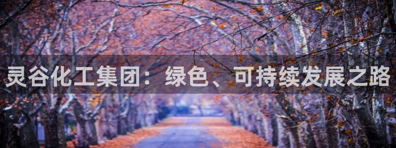 球盟会优惠领取网站是真的吗