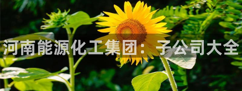 球盟会能退钱吗