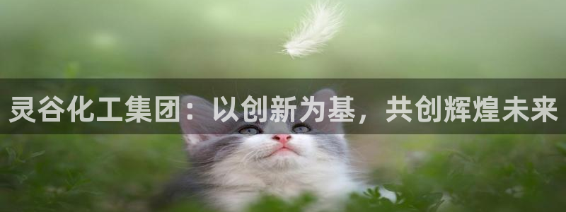 球盟会类似的网站