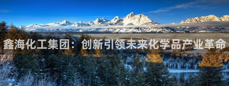 球盟会和中欧合作吗