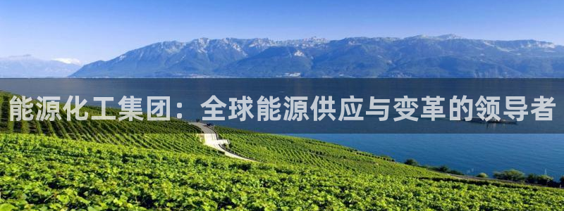 球盟会在线网站：能源化工集团：全球能源供