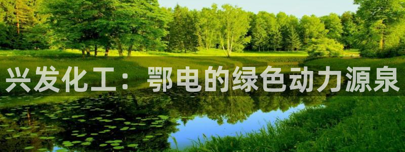 球盟会官网app下载：兴发化工：鄂电的绿