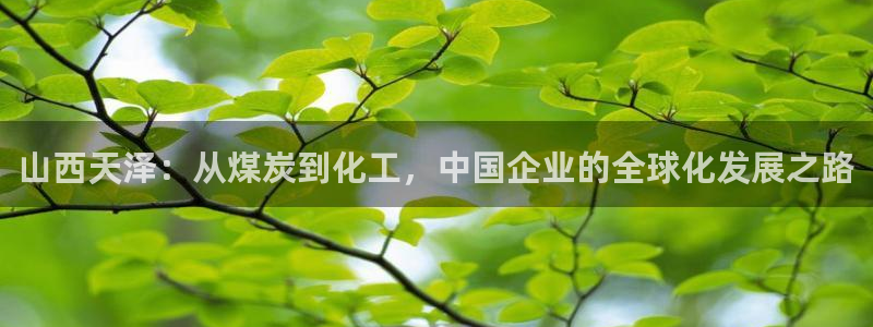 球盟会福利码2023最简单三个步骤：山西