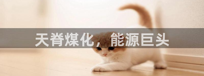 球盟会qmh官网：天脊煤化，能源巨头