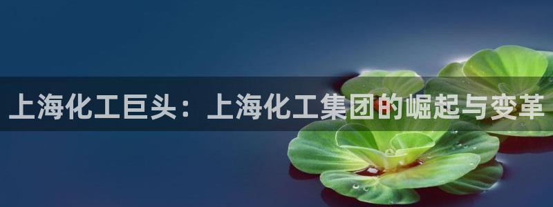 球盟会APP最新地址