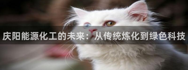 球盟会电子好黑