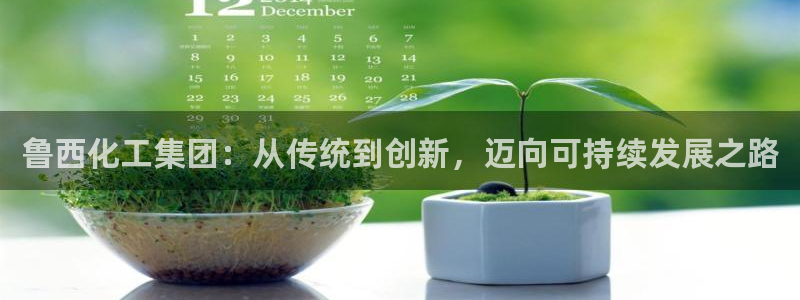 球盟会黑台：鲁西化工集团：从传统到创新，