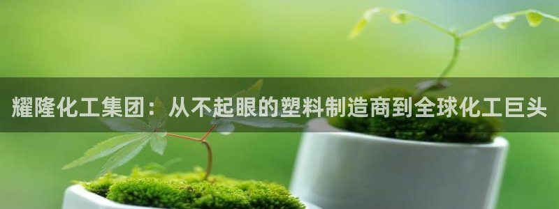 球盟会里面有打牌的嘛是真的吗