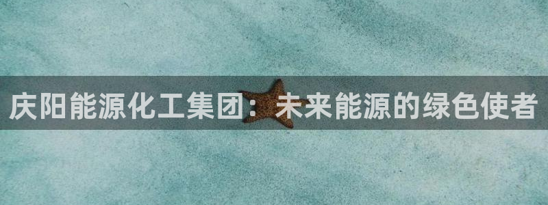 球盟会app入口：庆阳能源化工集团：未来