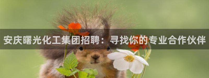 球盟会App：安庆曙光化工集团招聘：寻找