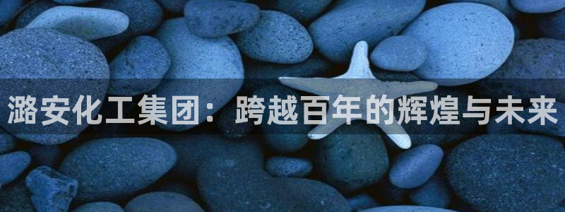 球盟会用的客服聊天是哪个软件：潞安化工集