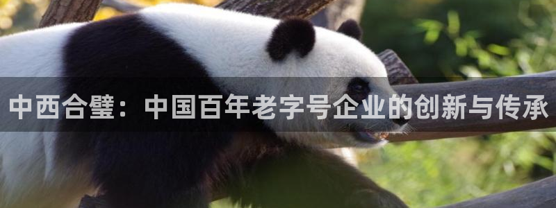 球盟会qmh官网：中西合璧：中国百年老字号企业的创新与传承