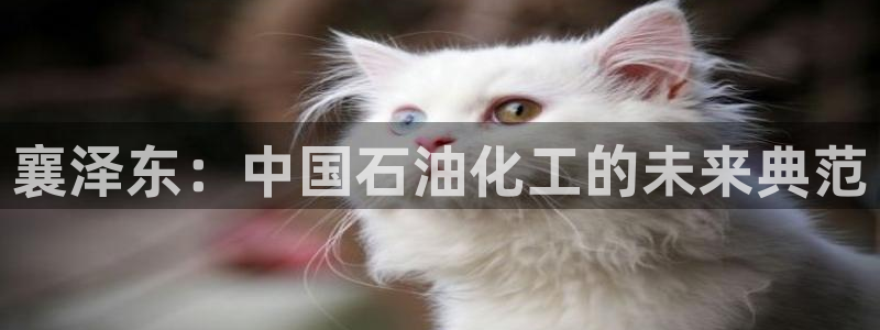 球盟会网页登录：襄泽东：中国石油化工的未